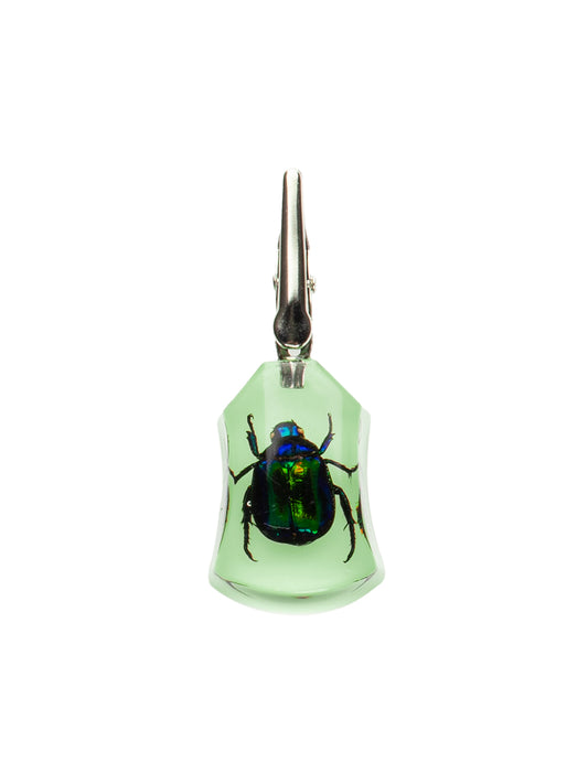 Glow-in-the-Dark Chafer Clip