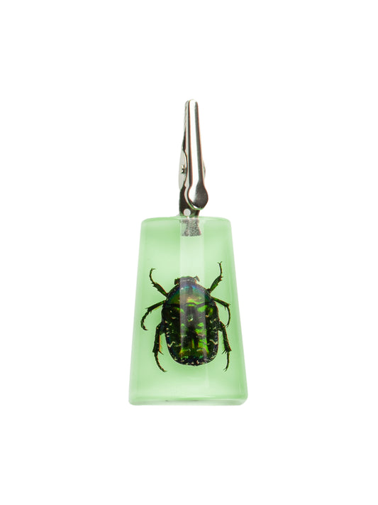 Glow-in-the-Dark Stand-Up Chafer Clip
